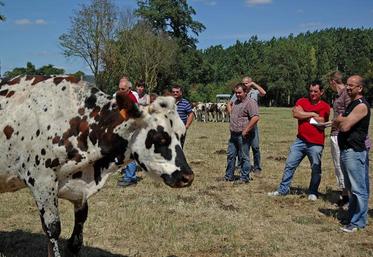 L'élevage Léquippé compte 80 vaches laitières.