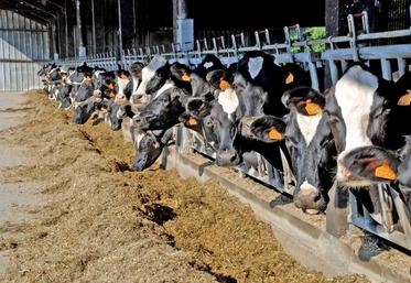Les nouvelles normes de rejets azotés par les vaches laitières nécessiteront, dans certains cas, une adaptation des plans d’épandage.
