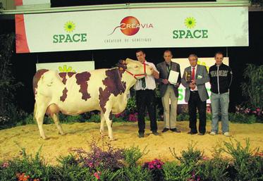 Sortie grande championne au Festi’Élevage de Chemillé, 
Beautée s’est distinguée comme la meilleure jeune vache du Space.