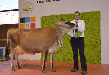 En race jersiaise, la SCEA Gaborit, représentée par Pierre-Yves Gaborit, remporte le prix de la section jeunes vaches avec Galaxie.