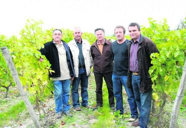 Une partie des 23 viticulteurs de la nouvelle AOC réunis au Vaudelnay, mardi. L’appellation Saumur-Puy-Notre-Dame porte à 69 le nombre des AOC de Loire.