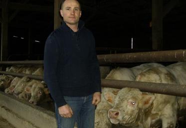 Régis Lebrun, président de la section bovine de la FDSEA, est éleveur naisseur-engraisseur en charolais, à La Poitevinière, dans le canton de Beaupréau.