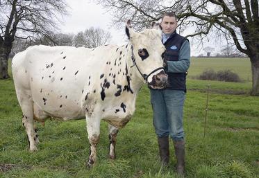 Mickaël Drouet, jeune éleveur de 29 ans, présente Chipie, une habituée du podium de Festi’élevage.