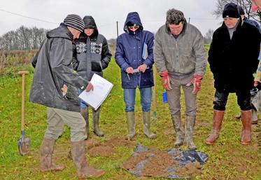 Pour mettre en pratique les nouveaux acquis sur la vie du sol, les agriculteurs se sont rendus chez l’éleveur laitier bio Jean-Luc Denis, au Plessis-Macé.