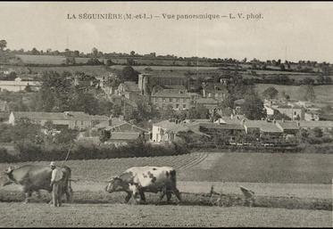 Scène de labour à La Séguinière, au début du XXème siècle.