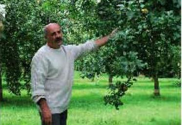 Jean-Louis Lardeux a collecté une centaine de variétés de pommes dans le verger de la Hanère, à Aviré. Chaque semaine, il fait découvrir une d’entre elles à ses clients sur un marché.