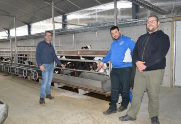 Les 3 éleveurs de veaux de boucherie apprécient leurs conditions de travail dans le nouveau bâtiment. De gauche à droite : Bertrand Delanoë, Mathieu 
Delanoë et Julien Dersoir.