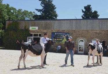 Les génisses utilisées pendant la semaine de l’École française des jeunes éleveurs étaient mises à disposition par des éleveurs de la région de Ploërmel. Nicolas Billard (à gauche) a travaillé avec Ilinoise.