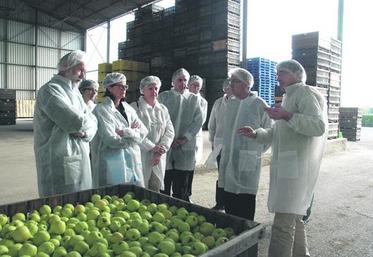 Eric Sarazin, gérant de l’entreprise les Vergers de la Cochetière, a reçu vendredi le préfet de Maine-et-Loire. Faute de débouchés, des pommes sont laissées dans le verger, entre 10 et 20 % de la production selon les variétés.