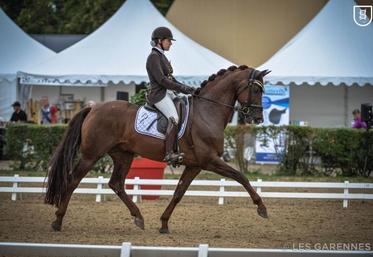 First Step Valentin est le nouveau champion de France de dressage dans la catégorie des jeunes chevaux de 6 ans.