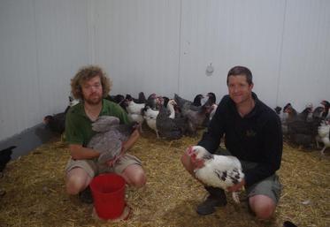 Jérôme Froger, à droite, et son frère Nicolas Froger, à gauche. Dans leurs bras, une poule sussex et une poule cendrée.