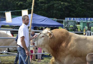 L'élevage Rothureau, de Beaupréau-en-Mauges, a été beaucoup primé lors du concours, avec le prix d'élevage et deux prix de championnat.