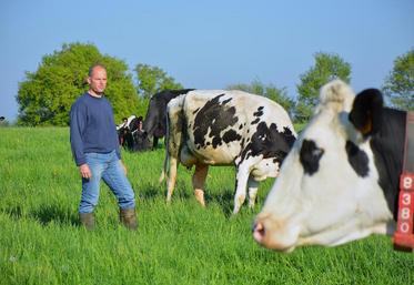 Depuis quelques jours, le troupeau de vaches laitières de Christophe Malinge est dehors jour et nuit, et cela jusqu’à la Toussaint, avant une rentrée définitive début décembre.