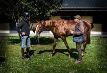 Nicolas Blondeau (à droite) enseigne aux professionnels du cheval, « dans le but de cultiver le lien qui unit l’homme à l’animal ».