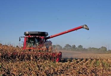 Aux États-Unis, la sécheresse a fait chuter les rendements de maïs.