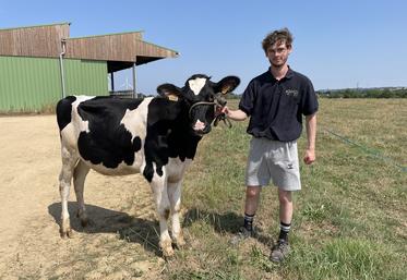 Matteo Belouard et Uline BLD, une de ses génisses qui participera au concours de Mauges élevage passion à la Petite Angevine.