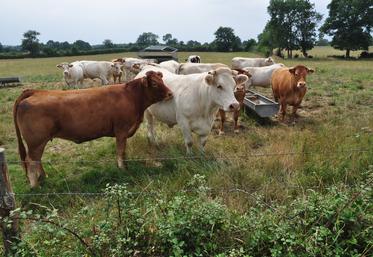 Les cas concernent des exploitations bovines, viande et lait.