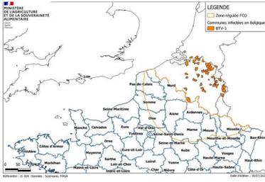 Foyers de FCO en Belgique et zone régulée depuis le 2 août.