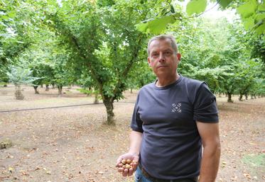 Producteur indépendant, Laurent Chiron cultive des noisettes destinées principalement au marché de la noisette en coque.