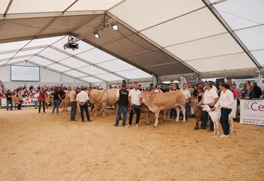 La grande majorité des races a pu concourir, excepté les ovins rouges de l'ouest, absents, et les blondes d'Aquitaine, avec seuls quelques animaux en présentation.