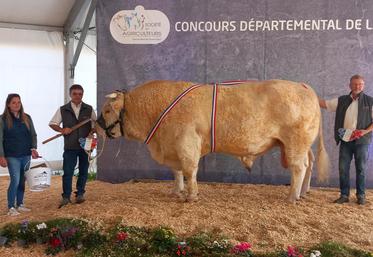 Roosevelt, grand prix d'honneur mâle au concours charolais.