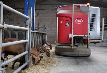 La ration des chèvres est composée d'ensilage de maïs (2,5 kg), de foin de ray-grass produit sur l'exploitation et de luzerne achetée en brin et bouchons.