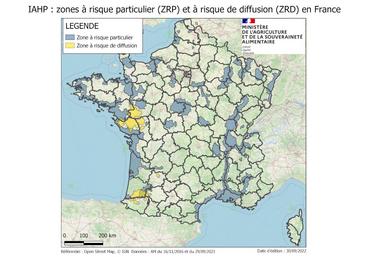 Influenza aviaire : carte des zones à risque particulier (ZRP) et à risque de diffusion (ZRD) en France