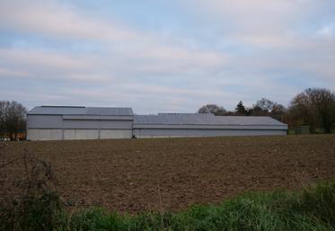 La centrale thermovoltaïque de Virginie Landreau est équipée de 390 panneaux en toiture pour une production de 99,84 kWc électrique et 290 kW thermique.