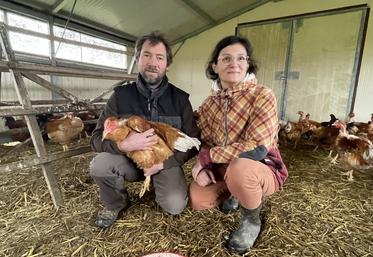 Emmanuel Gourichon et Marie Renou élèvent une centaine de chapons pour les fêtes de fin d'année.