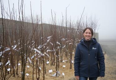 Olivia Beaumont est associée avec son mari depuis le 1er janvier 2024 au sein de l'EARL Les fruitiers d'Émile.