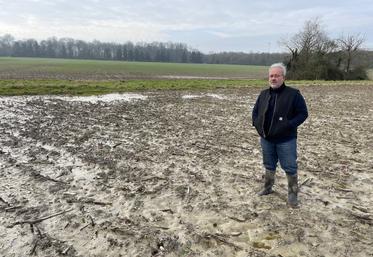 François Bombré, céréalier, dans un bas de parcelle implantée en blé. L'agriculteur estime à 18 ha la surface qu'il devra re-semer cette année.