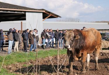 Les adhérents ont visité l'élevage Chupin à Somloire l'après-midi.