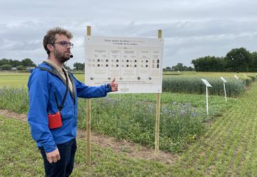 Amaury de Gavelle, responsable adjoint du service céréales au groupe UAPL. 
