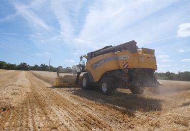 La CX8070 New Holland de la Cuma Loire Béconnais avance à 5 km/h dans la parcelle de triticale, mardi 15 juillet.