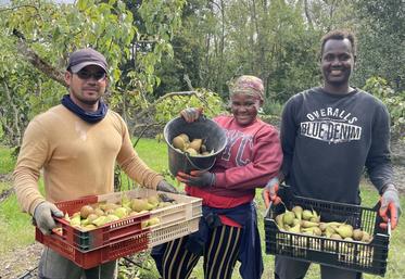 L'équipe de jardiniers a déjà récolté plus de 300 kg en une heure.