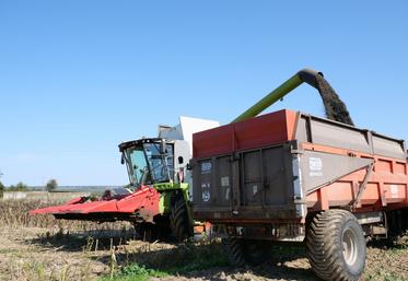 Vendredi 19 septembre, l'entreprise Defois est intervenue à Chanteloup les bois.