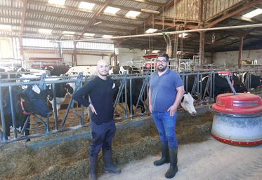 Yann Arnou et Valentin Beaumard, 2 des 3 associés (avec Lionel Blouin) du Gaec Bocamauges, à Cholet