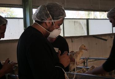 La vaccination se déroule en deux injections.