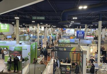 700 exposants sont attendus au Sival cette année, et près d'une centaine de conférences seront proposées au public.