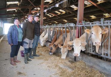 Caroline Burgevin, Corentin Gasté et Jean-Marc Burgevin devant le troupeau de blondes d'Aquitaine.