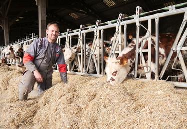 Clément Rousteau devant le troupeau de génisses normandes et montbéliardes de l'élevage.