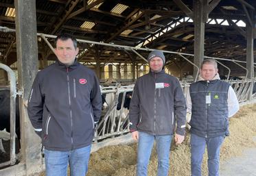 Sébastien Lebastard, Samuel Ricou et Corentin Martin sont associés au sein du Gaec de Vernoux, à Bécon-les-Granits. Ils ont accueilli la journée technique Terrena jeudi 4 décembre. Franck Gaudin a animé l'un des ateliers.