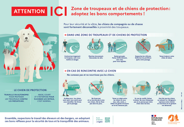 Des panneaux de sensibilisation à la présence de chiens de protection peuvent être demandés auprès de la DDT 49.