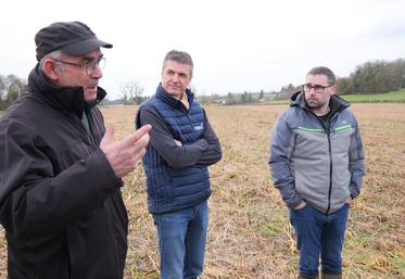 Jean-Marie Rousteau et David Métivier, agriculteurs engagés dans l'agriculture de régénération et Gabriel Rousseau, technicien-conseil Terrena, sur l'exploitation de Jean-Marie Rousteau. 
