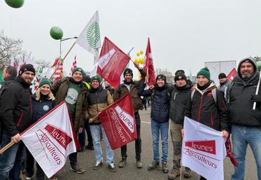Les groupe des angevins à Strasbourg le 20 janvier 2026.