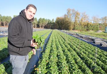 Jérémy Biland, directeur d'Anjou Plants à Longué-Jumelles. La coopérative a investi dans un robot de traitement qu'il utilisera dans ses nouvelles serres hors sol. 