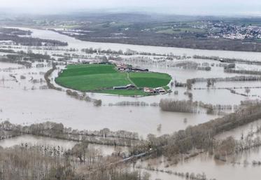 L'élevage laitier de Damien et Benoit Epoudry, à Liré, est cerné par les eaux. Les éleveurs livrent chaque jour leur lait grâce à leur coopérative grâce à un bac agricole. 