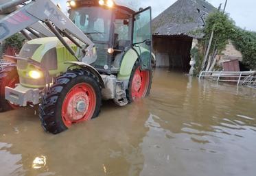Évacuer le matériel, comme chez Bruno Terrien à Montreuil-Juigné, ou encore les animaux comme à Chalonnes, et livrer son lait en barque :  les conséquences de la crue sont multiples pour les agriculteurs.