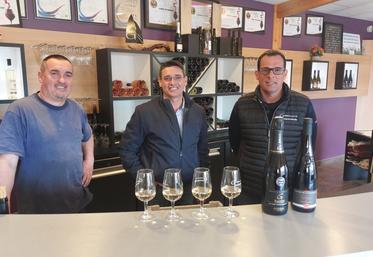 Mickaël, Anthony et Vincent Gueneau, les 3 frères et associés du Domaine de la Montcellière, à Trémont (Lys-Haut-Layon).