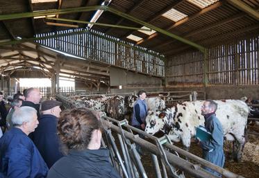 L'éleveur Michel Lemer et le technicien Evolution David Lebullenger ont présenté quelques vaches de l'élevage de Michel Lemer.